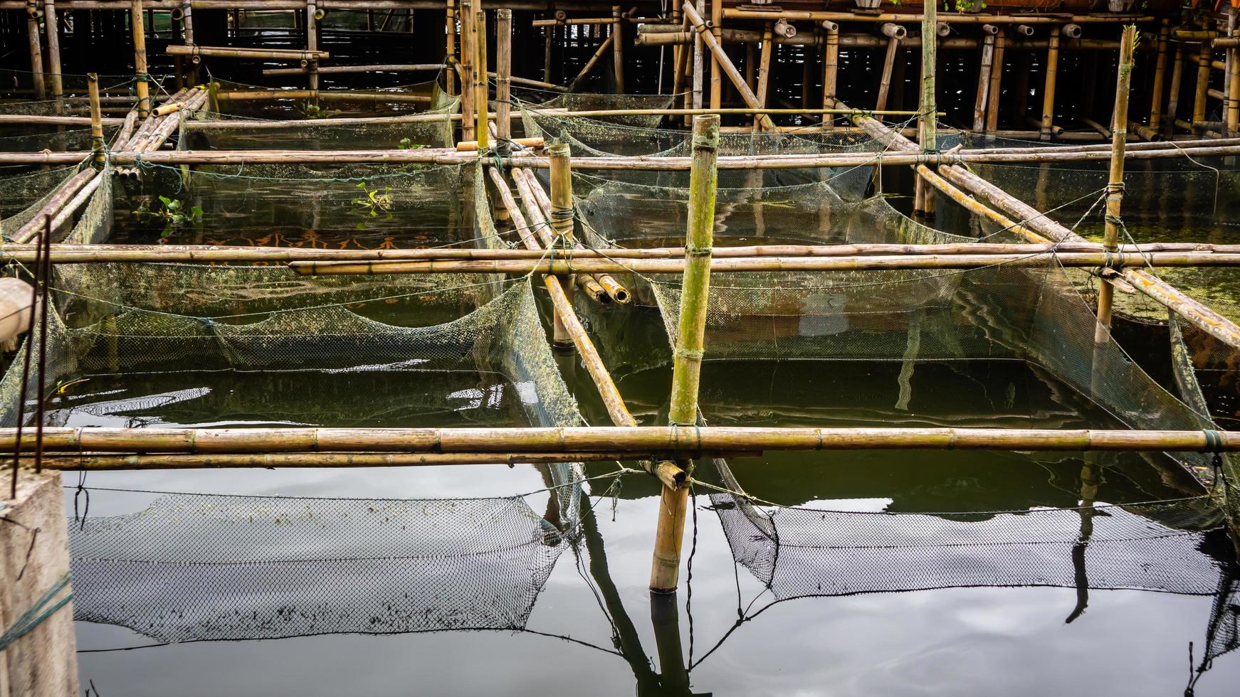 tradizionale pesce azienda agricola nel tondano lago fatto di bambù foto