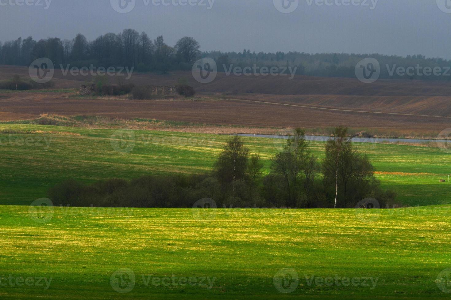 lettone primavera paesaggi foto