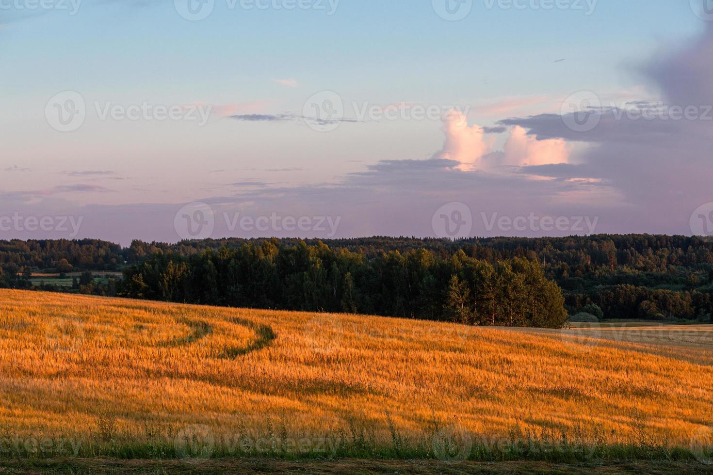 paesaggi di Lettonia nel estate foto