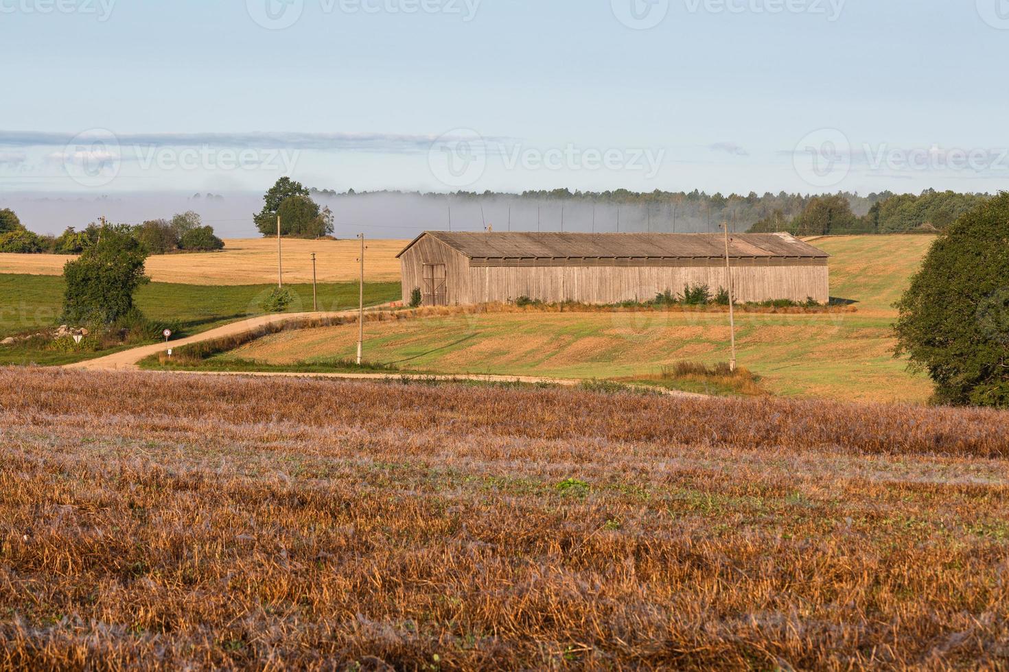 lettone estate paesaggi foto