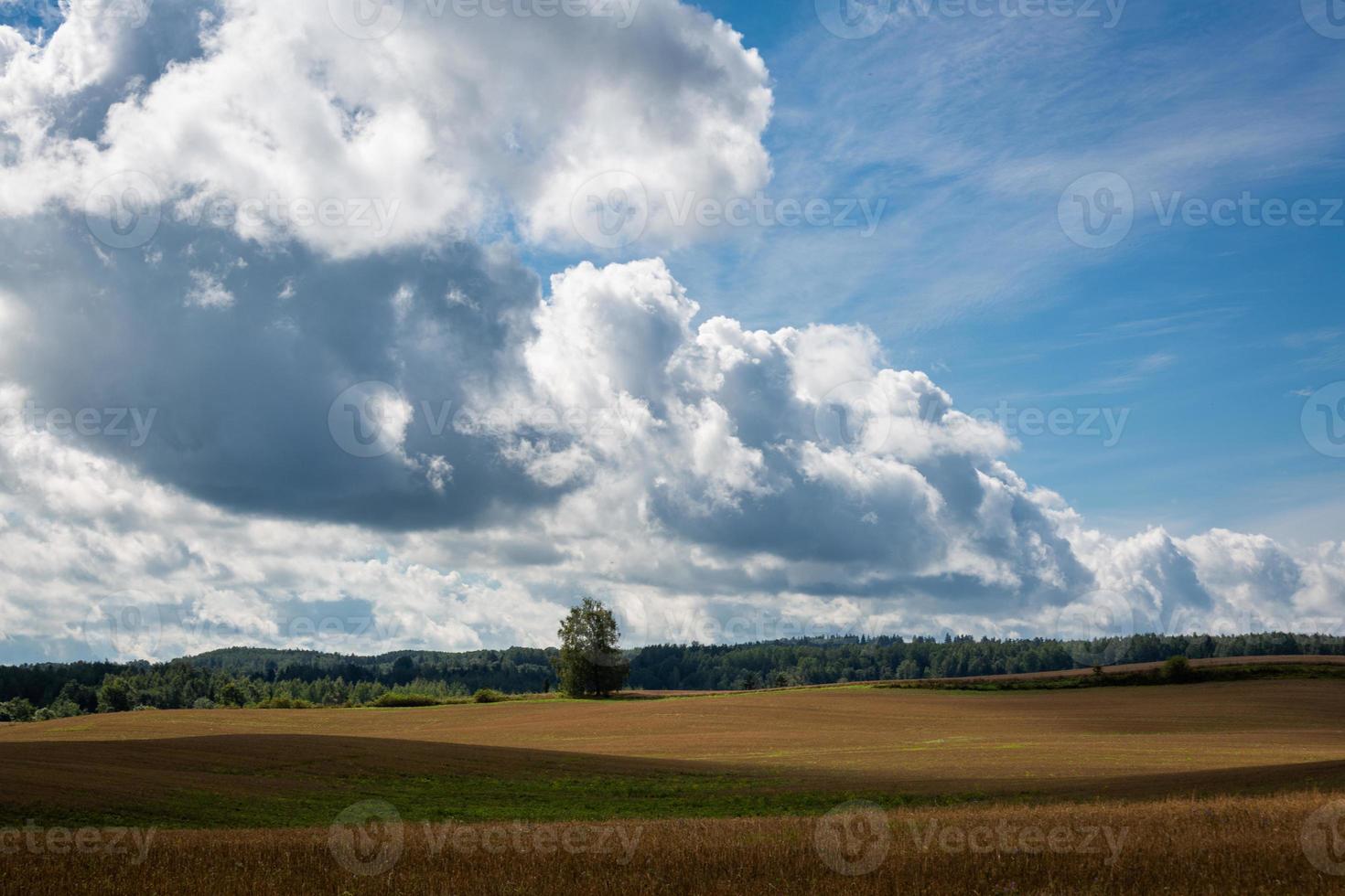 lettone estate paesaggi con nuvole foto