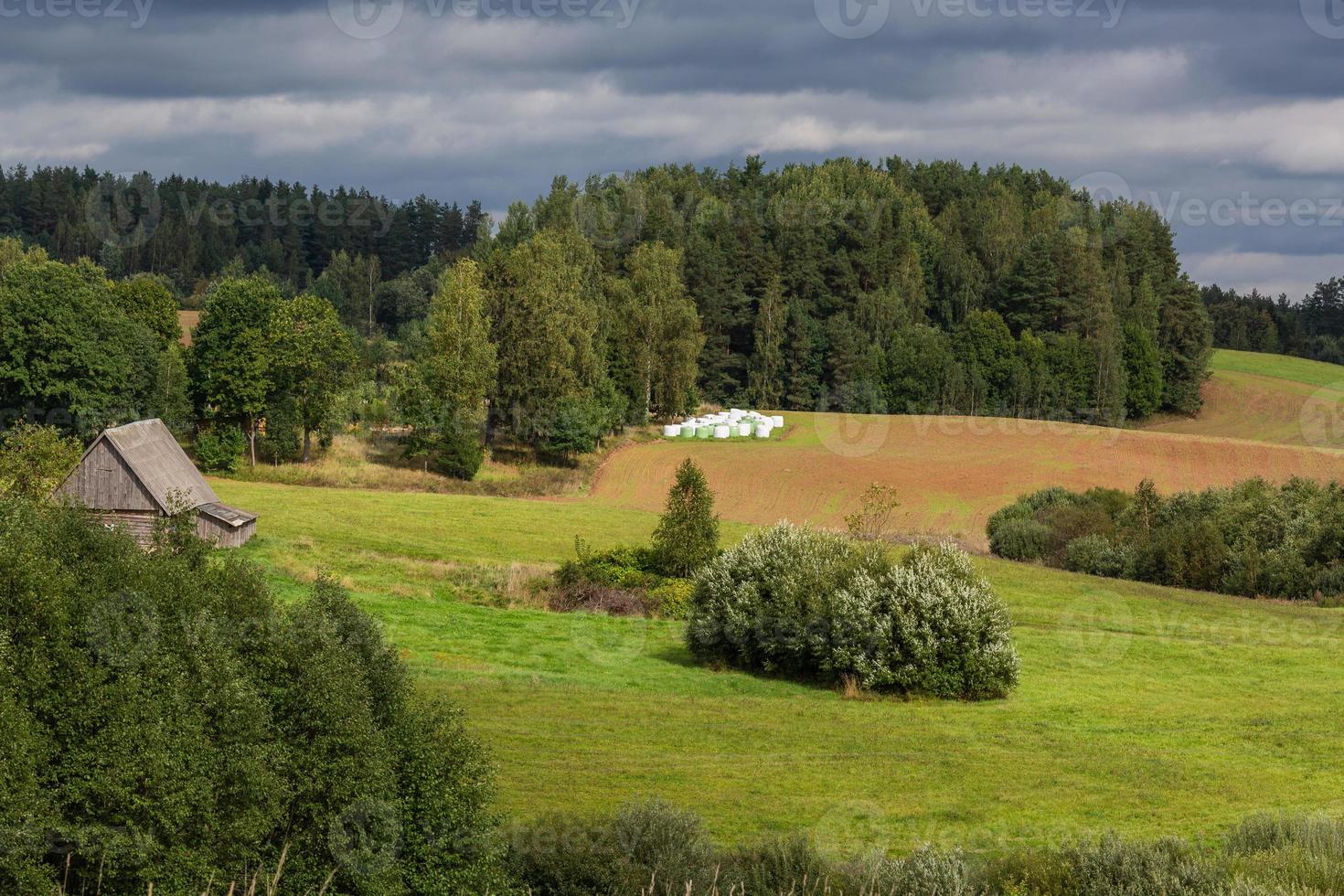 estate paesaggi nel Lettonia foto