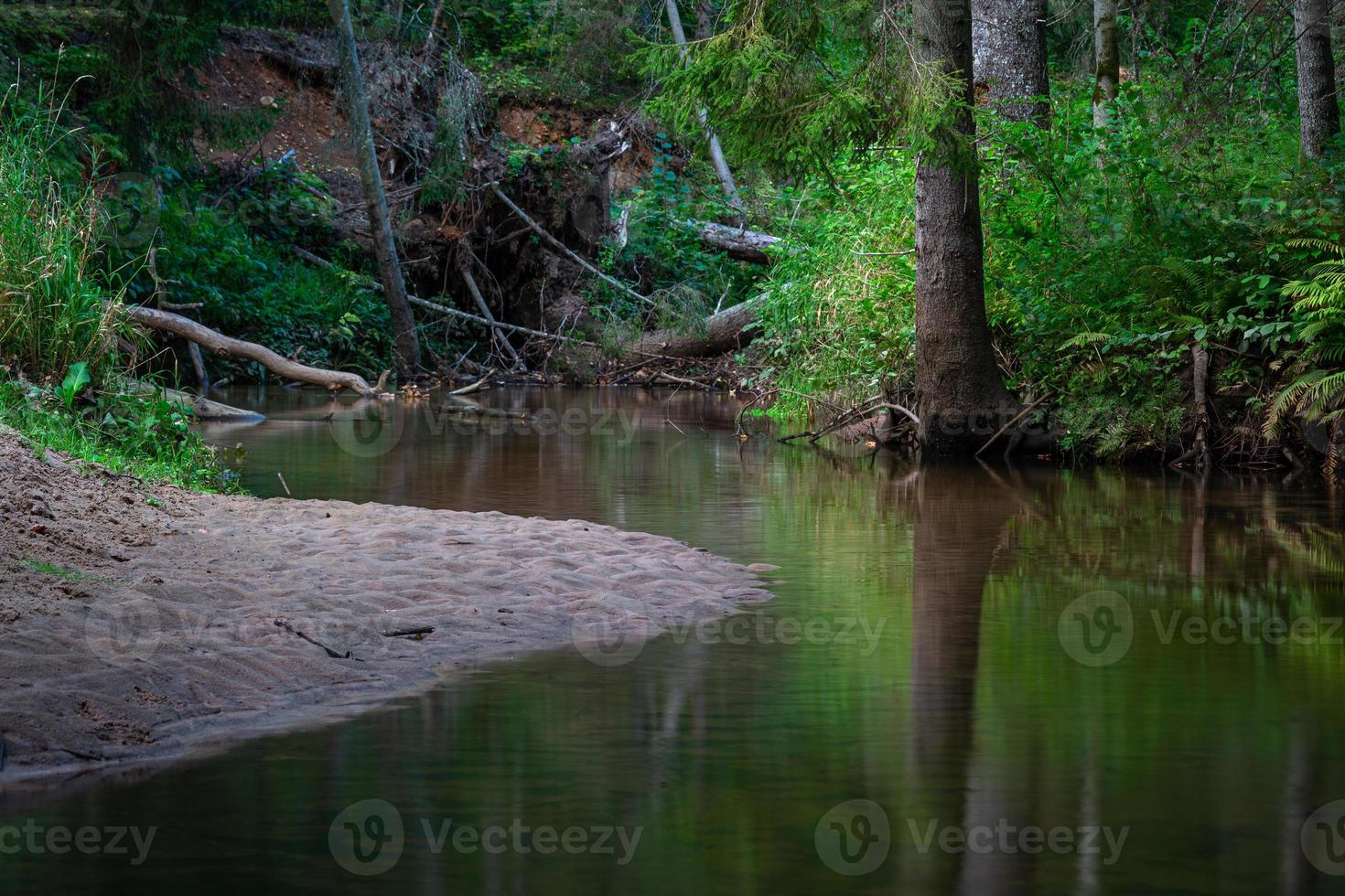 piccolo foresta fiume nel estate con verde sfondo foto