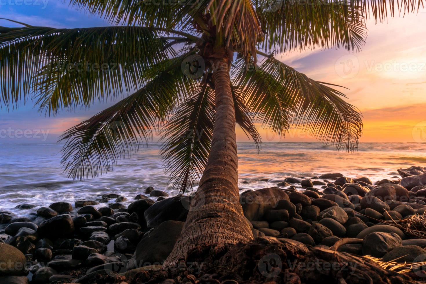 asiatico paesaggio a tramonto su il spiaggia con Noce di cocco alberi foto