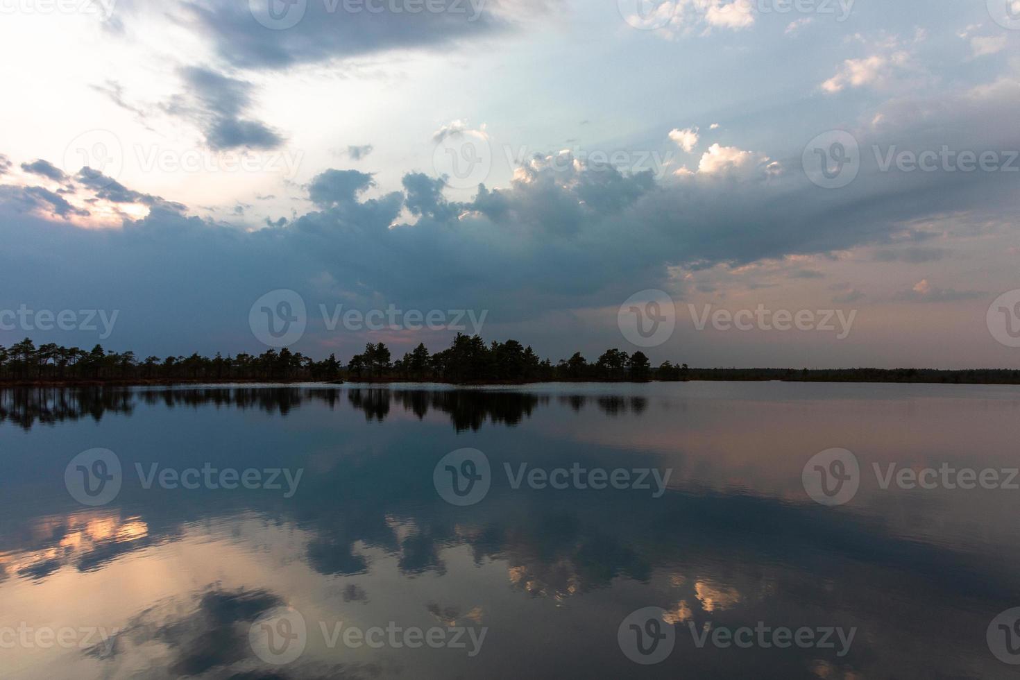 palude lago nel primavera foto