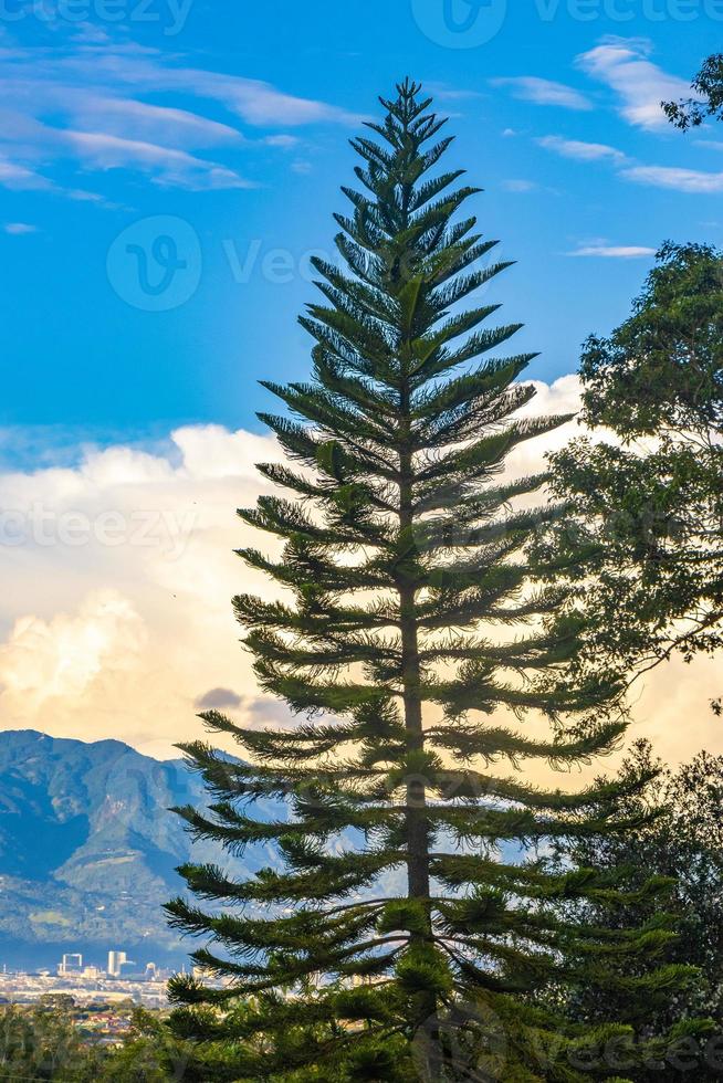 bellissimo montagna paesaggio città panorama foresta alberi natura costa rica. foto