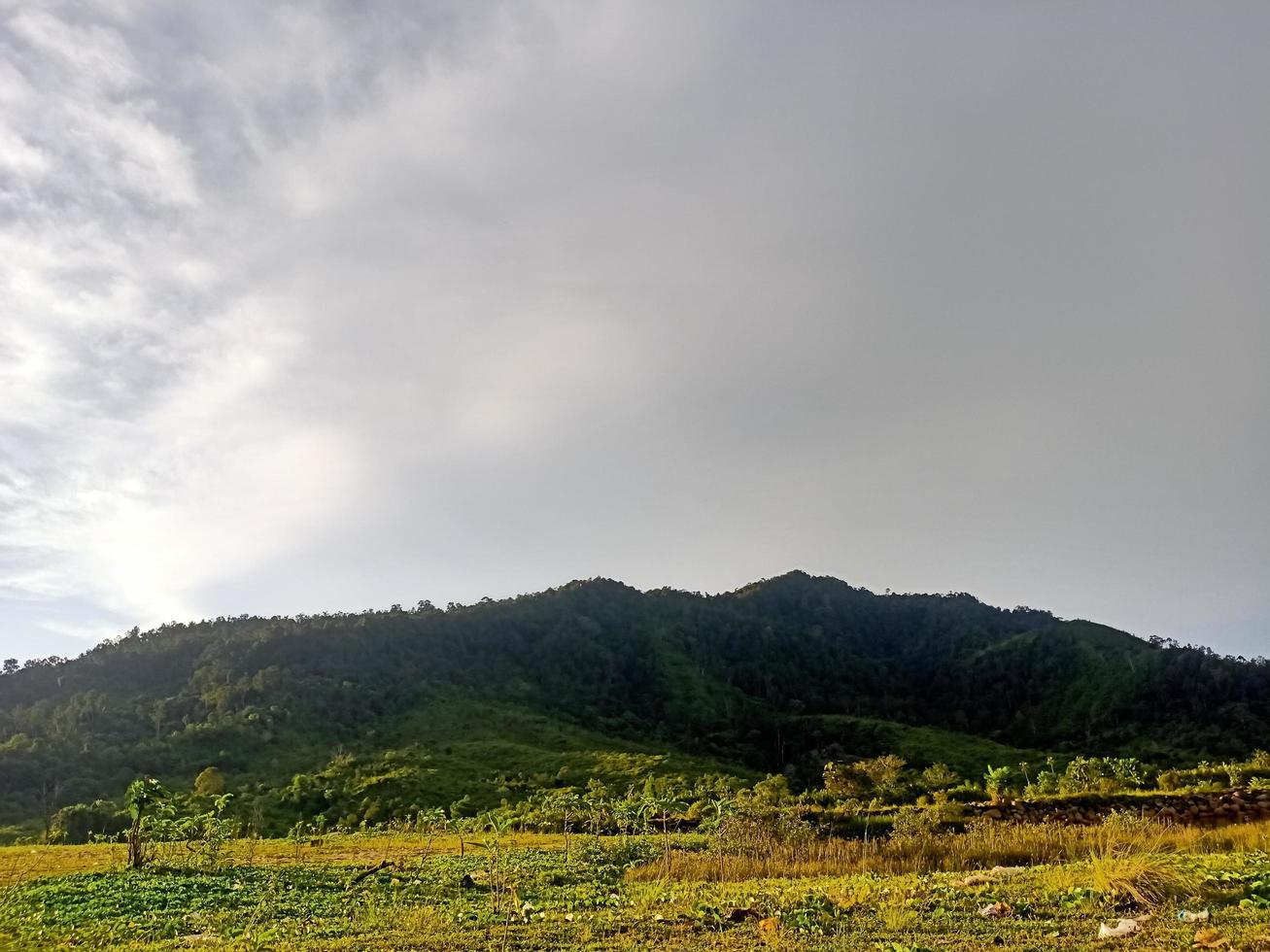 bellissimo naturale scenario durante il giorno foto