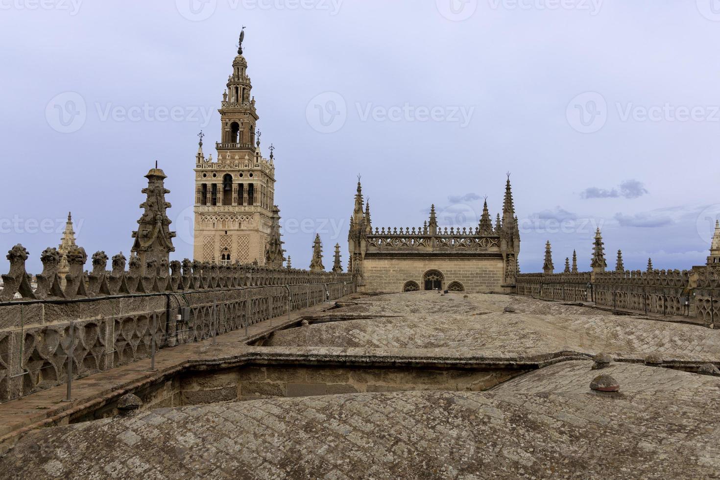 siviglia Cattedrale tetto foto