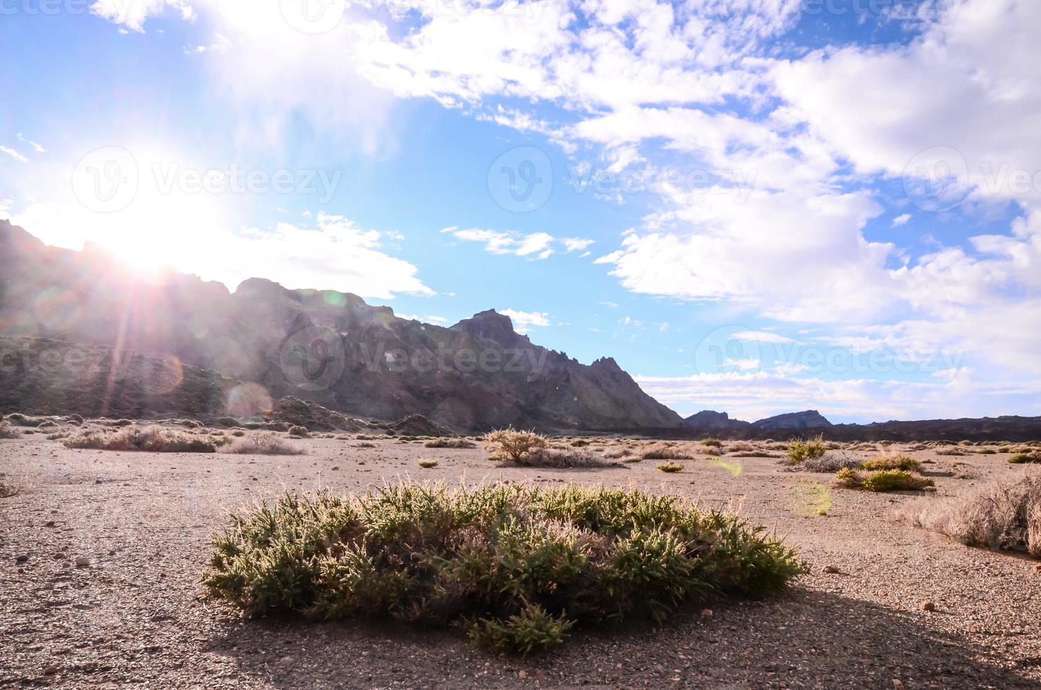 bellissimo deserto Visualizza foto