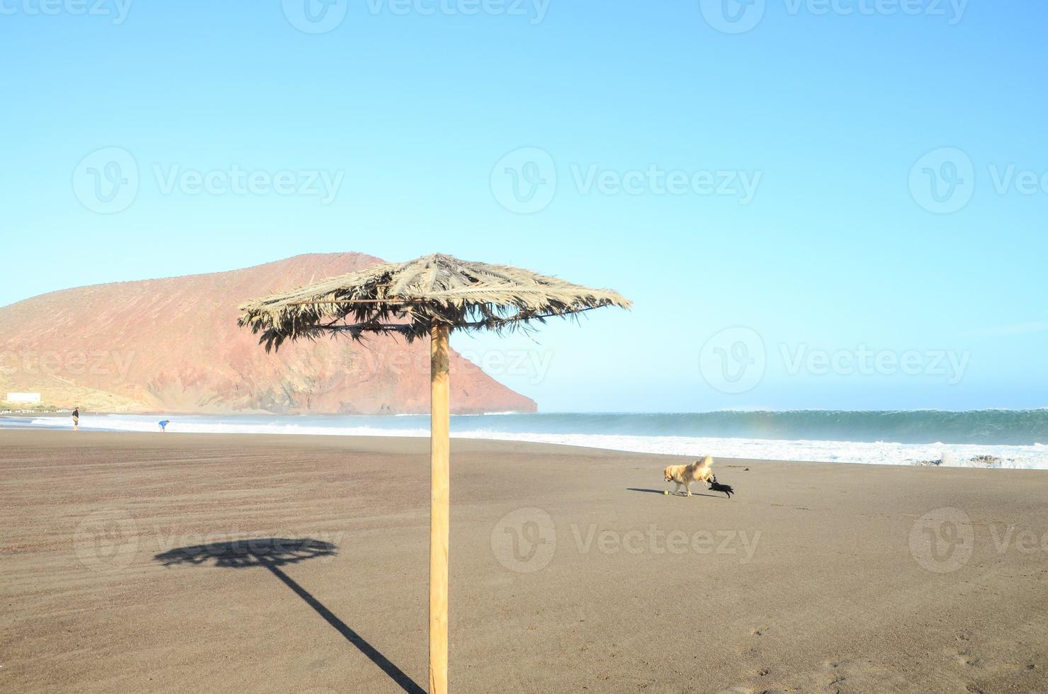 bellissima vista sulla spiaggia foto