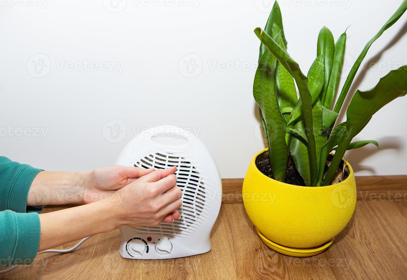 il ragazza detiene sua mani vicino il plastica fan riscaldatore e riscalda sua mani, regolazione il temperatura a casa, il flusso di calore per sua mani. un' vaso di fiori nel il sfondo. foto