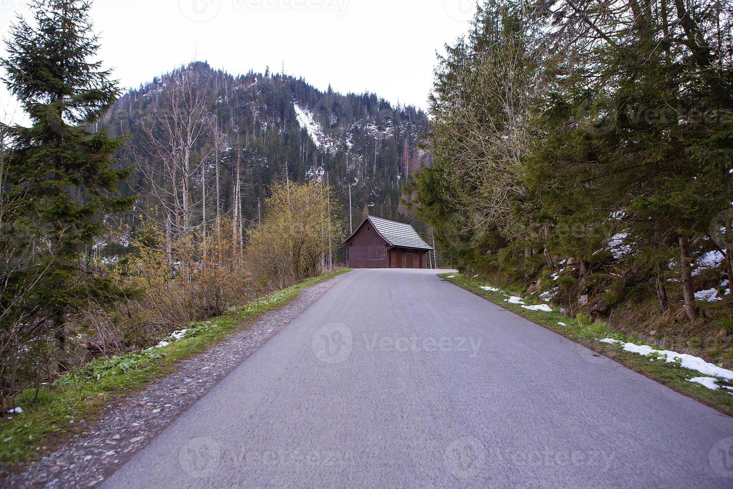 bellissimo sentiero per il mare occhio nel Polonia. il strada per il foresta. alto tatra. foto