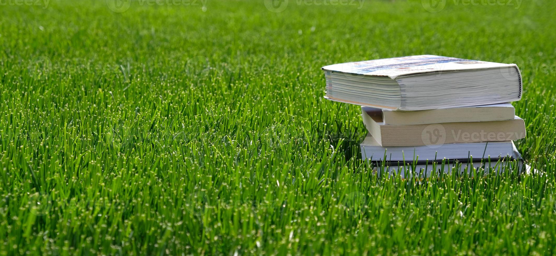 pila di libri nel il verde erba su il campo su soleggiato giorno. lettura e conoscenza concetto. bandiera con copia spazio per testo. indietro per scuola. mucchio di Vintage ▾ vecchio cartonato libri. foto