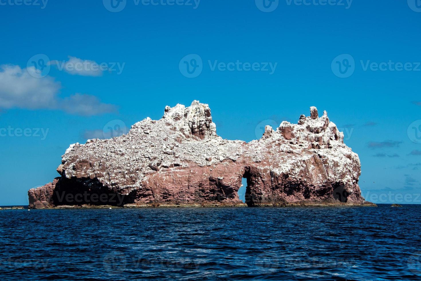 los isolotti foca isola nel Messico baja California foto