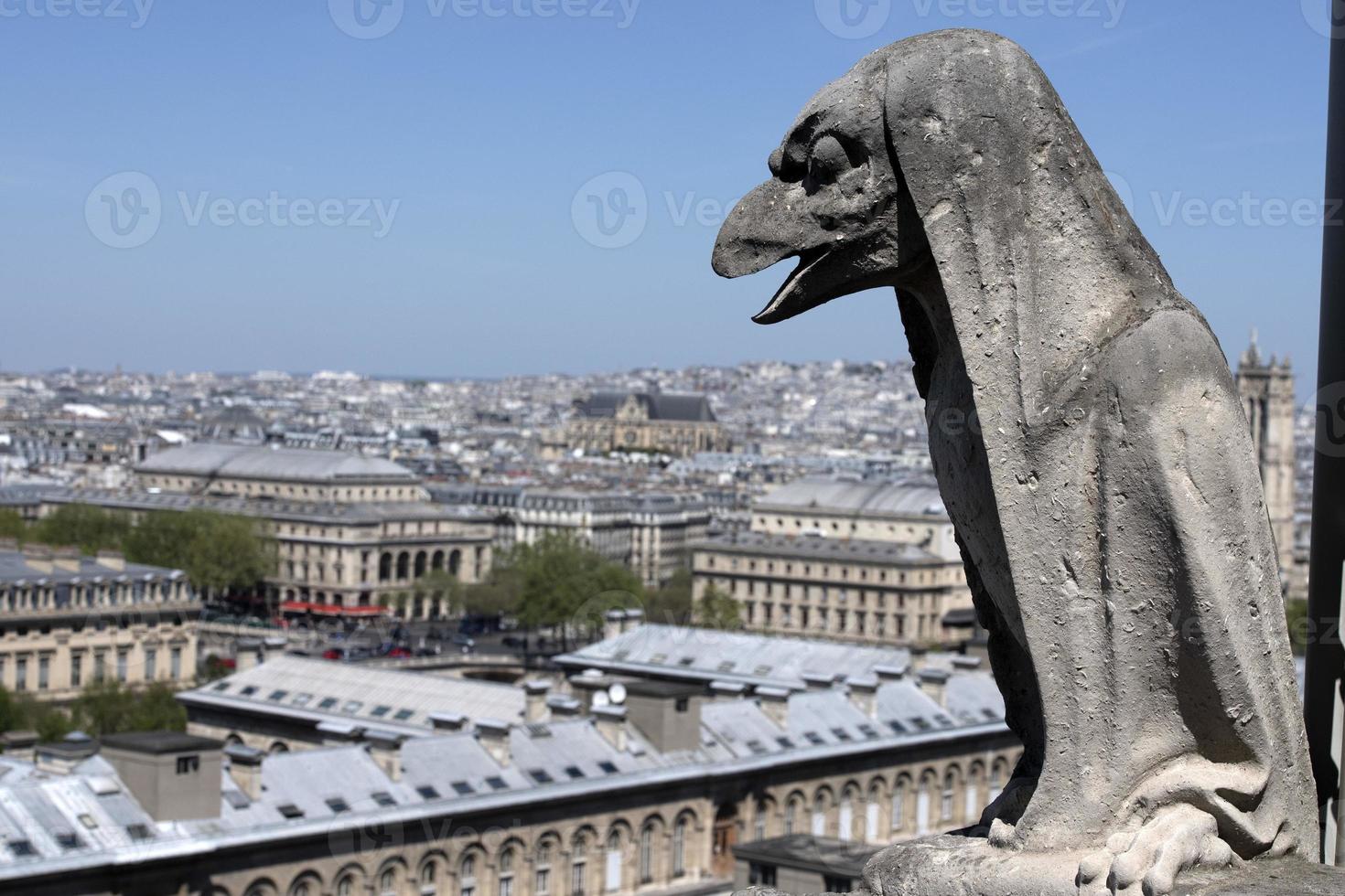 notre dama Parigi Cattedrale statua scultura e tetto prima fuoco foto