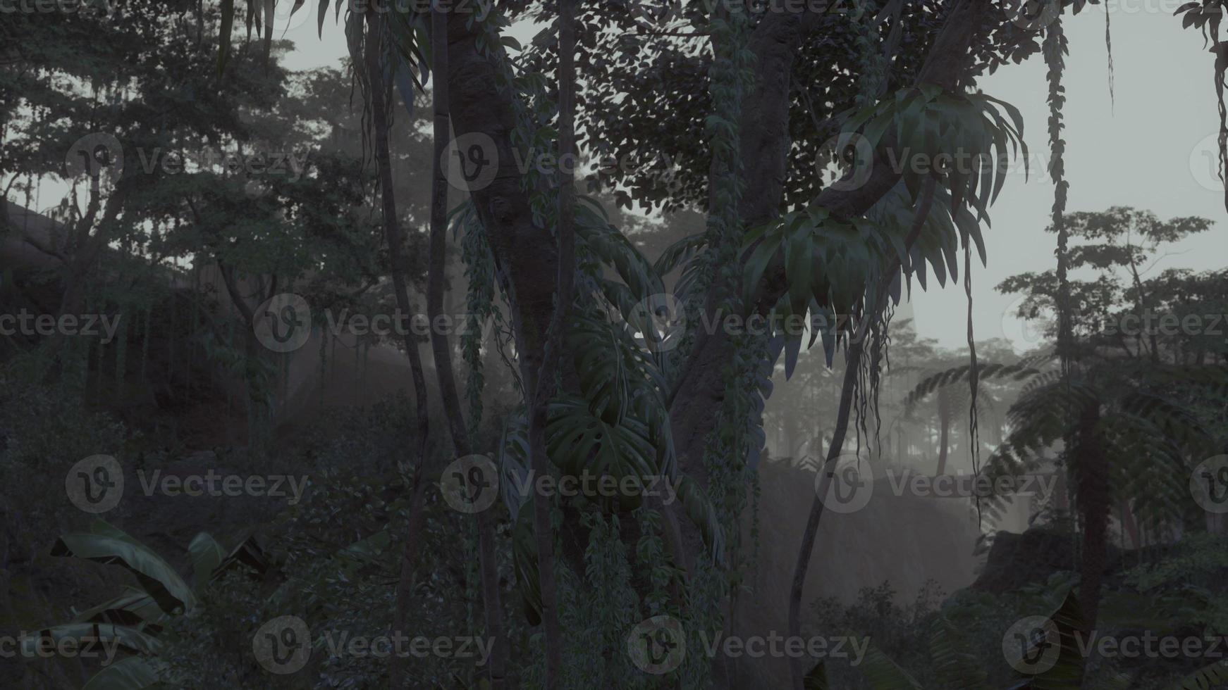 profonda giungla tropicale nell'oscurità foto