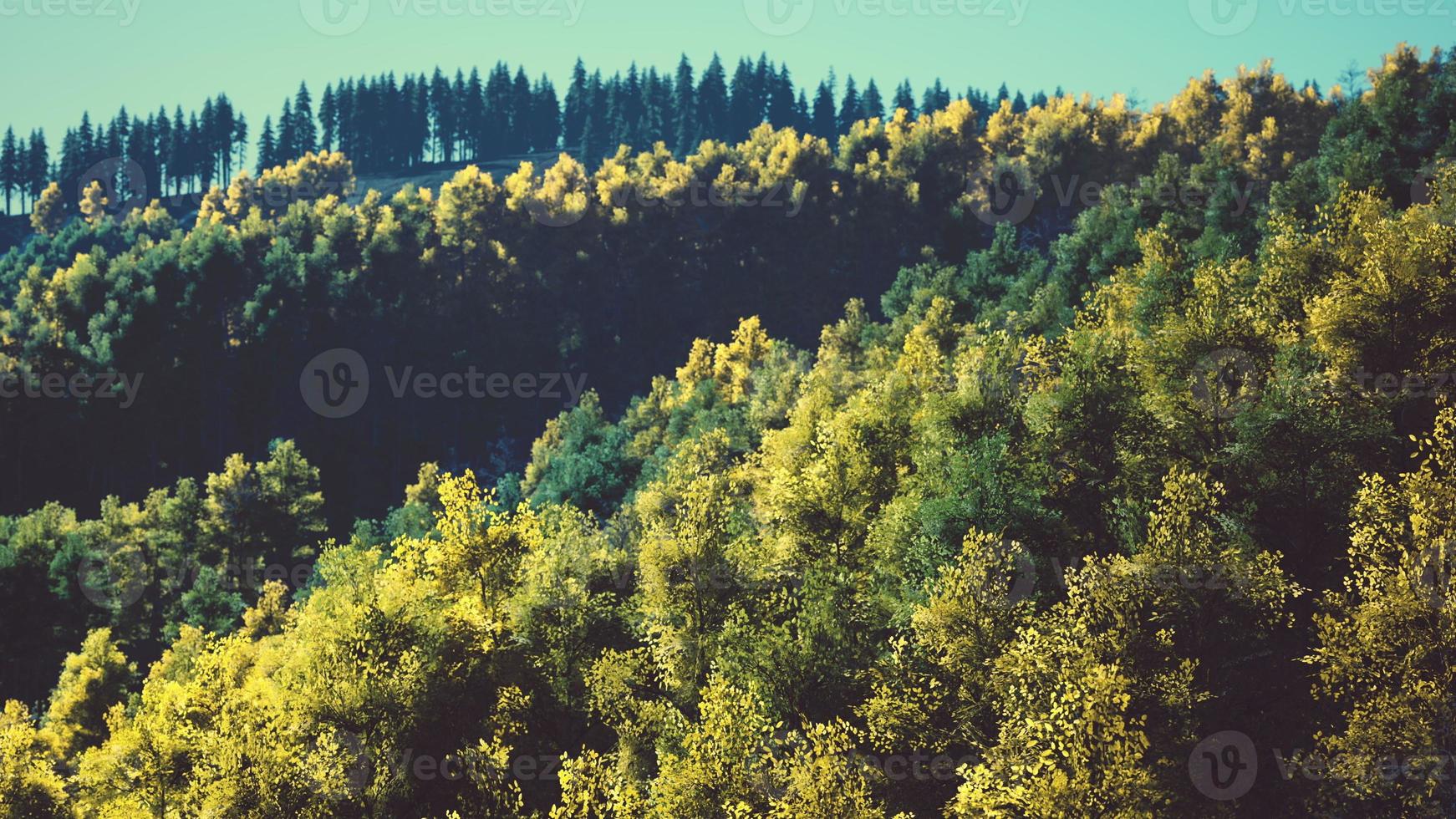 meraviglioso Visualizza di il montagne quello splendore sotto il luce del sole foto