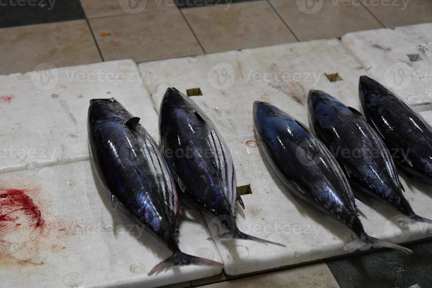 maschio, Maldive - marzo, 4 2017 - persone acquisto a pesce mercato foto