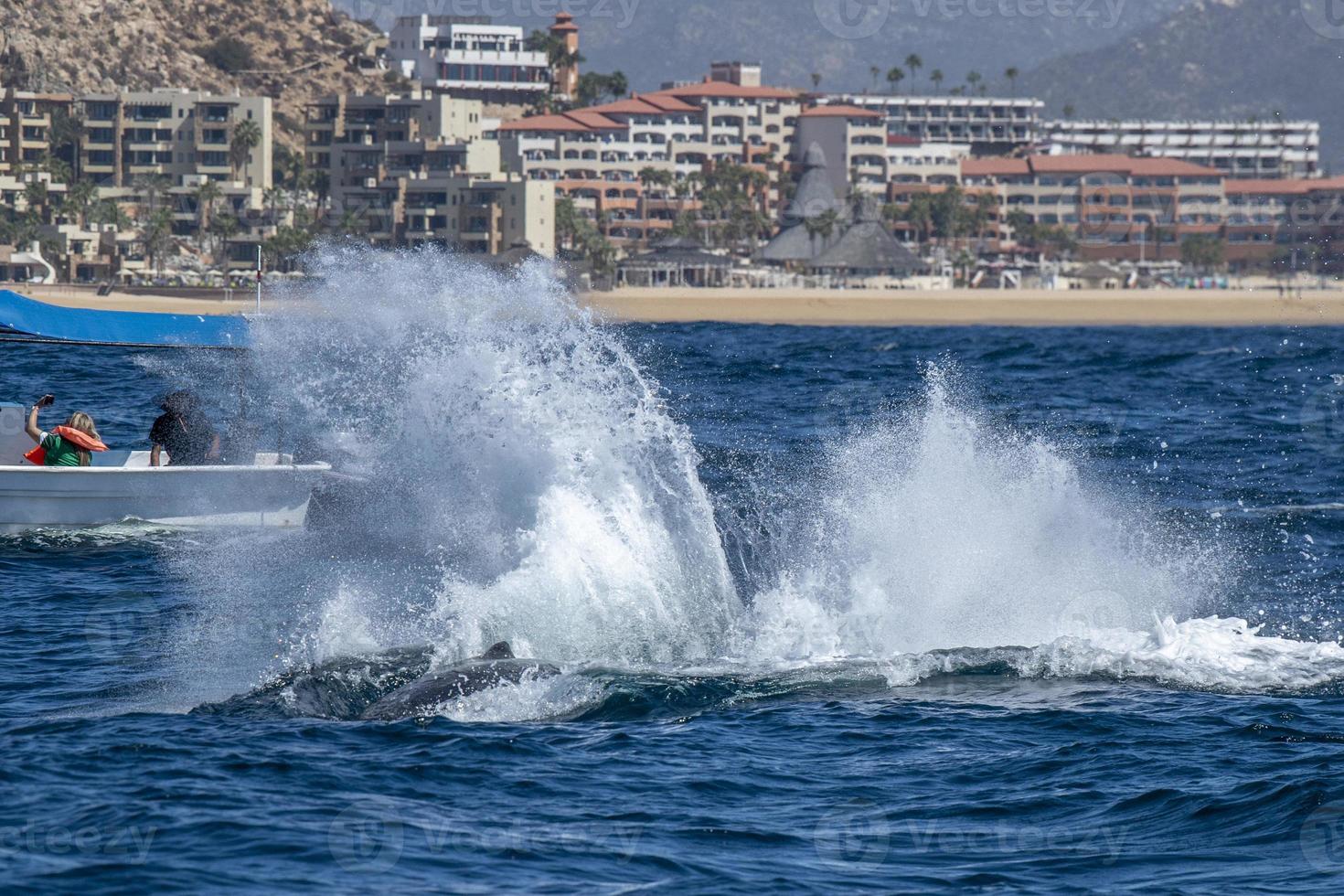 gobba balena coda slapping nel davanti di balena Guardando barca nel cabo san lucas Messico foto