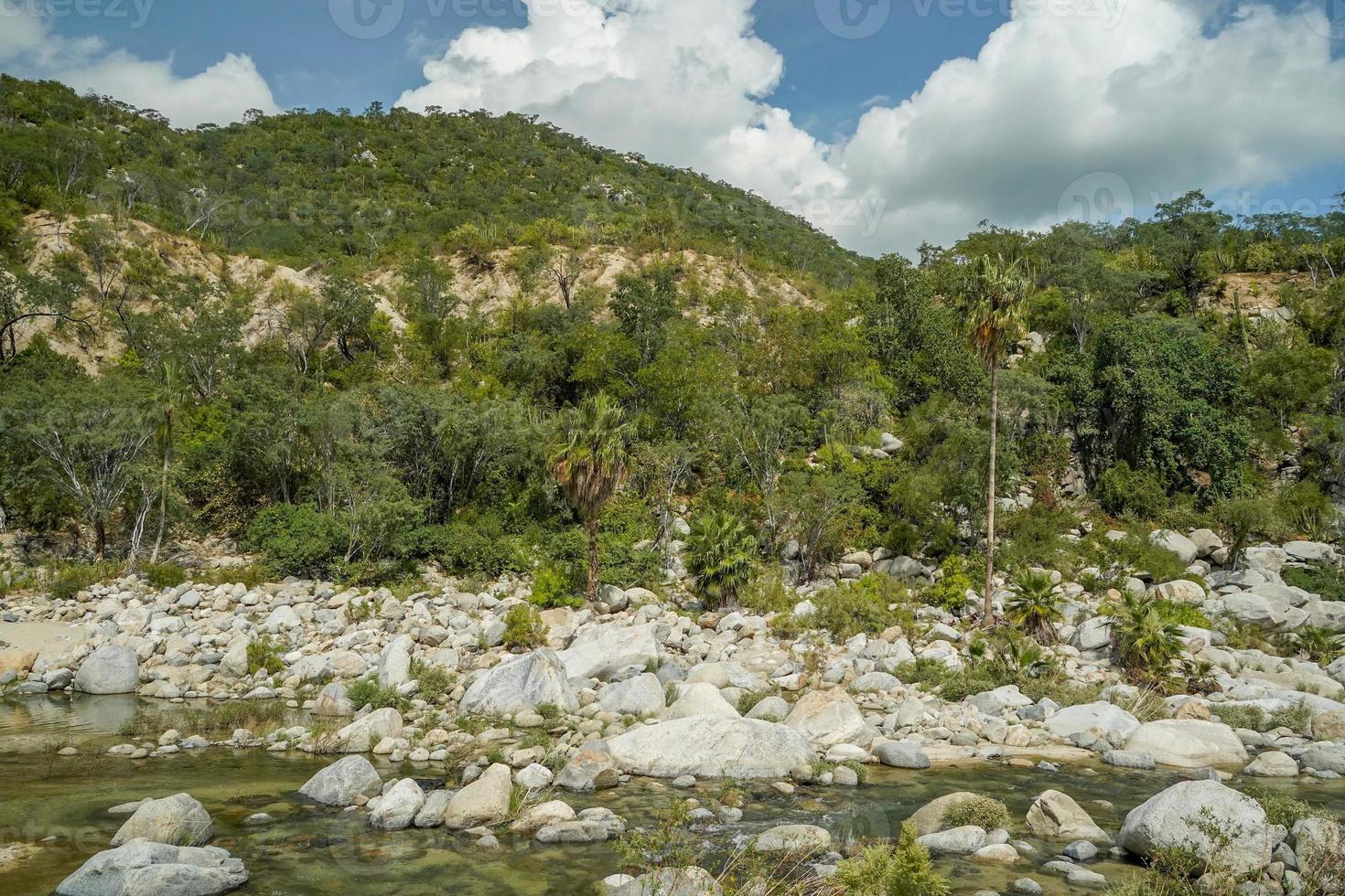 fiume torrente bianca pietre nel san dionisio nel sierra de la laguna baja California sur Messico foto