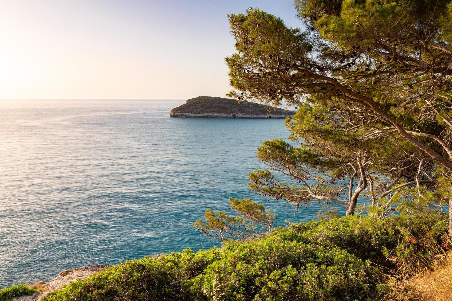 Visualizza per poco isola campi visto a partire dal costiero strada a partire dal vieste per mattinata a gargano nazionale parco, puglia, Italia foto