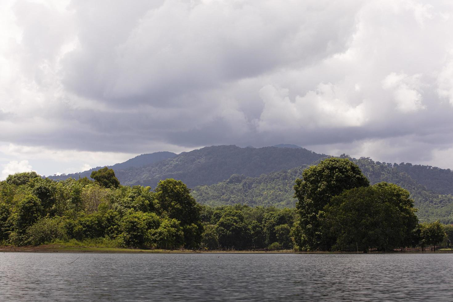 sbalorditivo visualizzazioni di il montagne nel il tropicale pioggia foresta foto