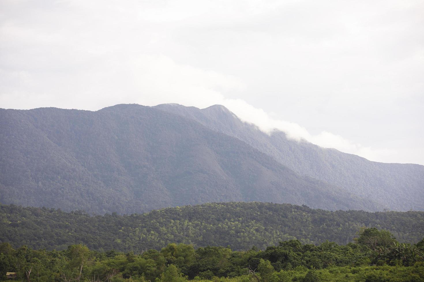 sbalorditivo visualizzazioni di il montagne nel il tropicale pioggia foresta foto