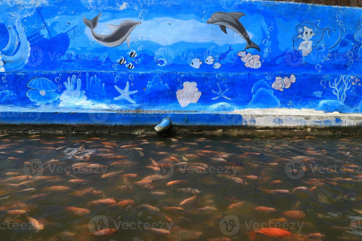 bellissimo koi pesce nel stagno nel il giardino foto