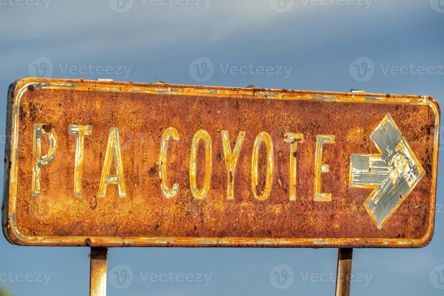 coyote punto cartello sierra guadalupe baja California sur Messico foto