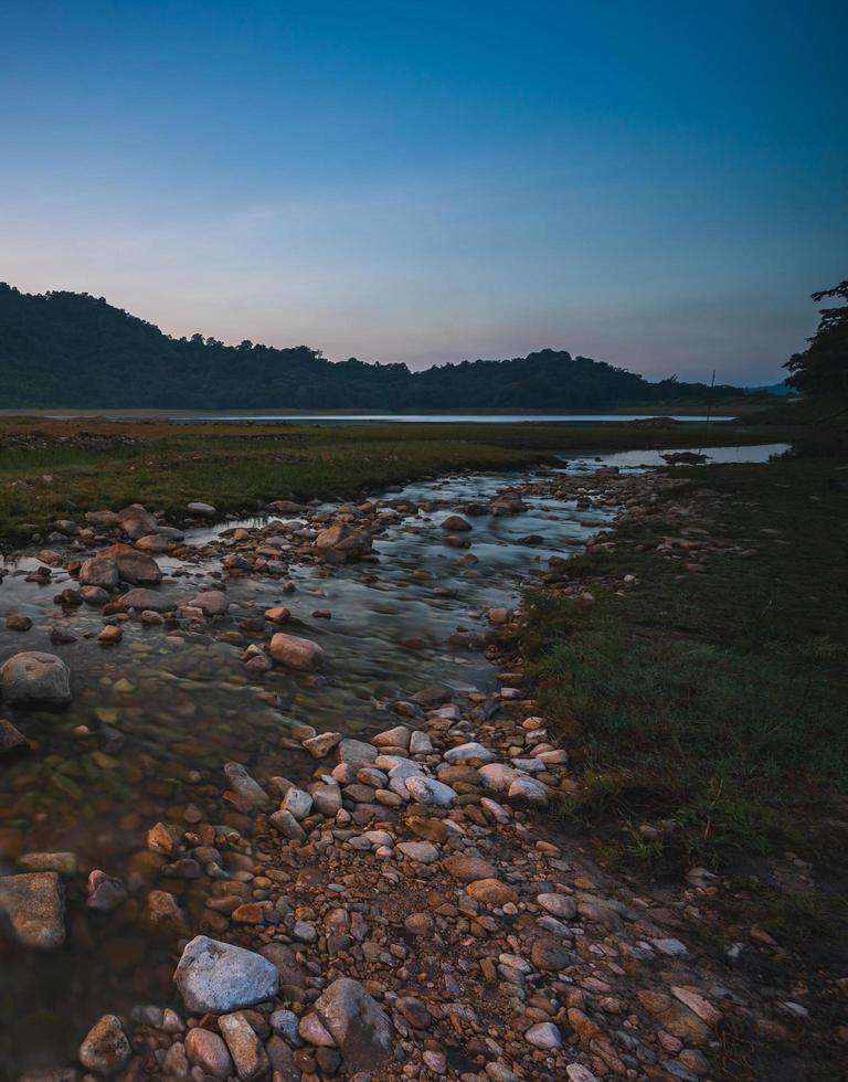 vista del paesaggio della natura del flusso di acqua dolce foto