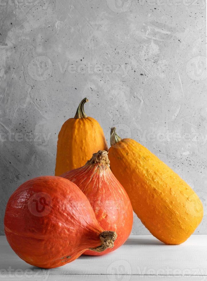 autunno raccolto, Halloween o ringraziamento concetto con zucche su calcestruzzo sfondo. verticale foto. foto