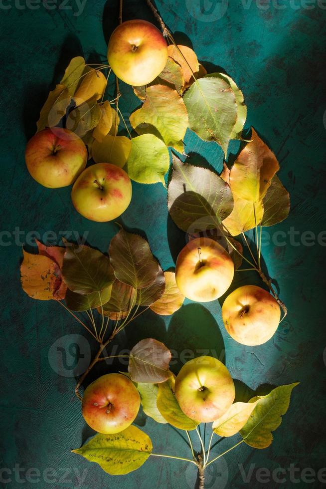 giocare di leggero e ombra su di cui su su Smeraldo verde sfondo di azienda agricola mele con autunno le foglie. foto