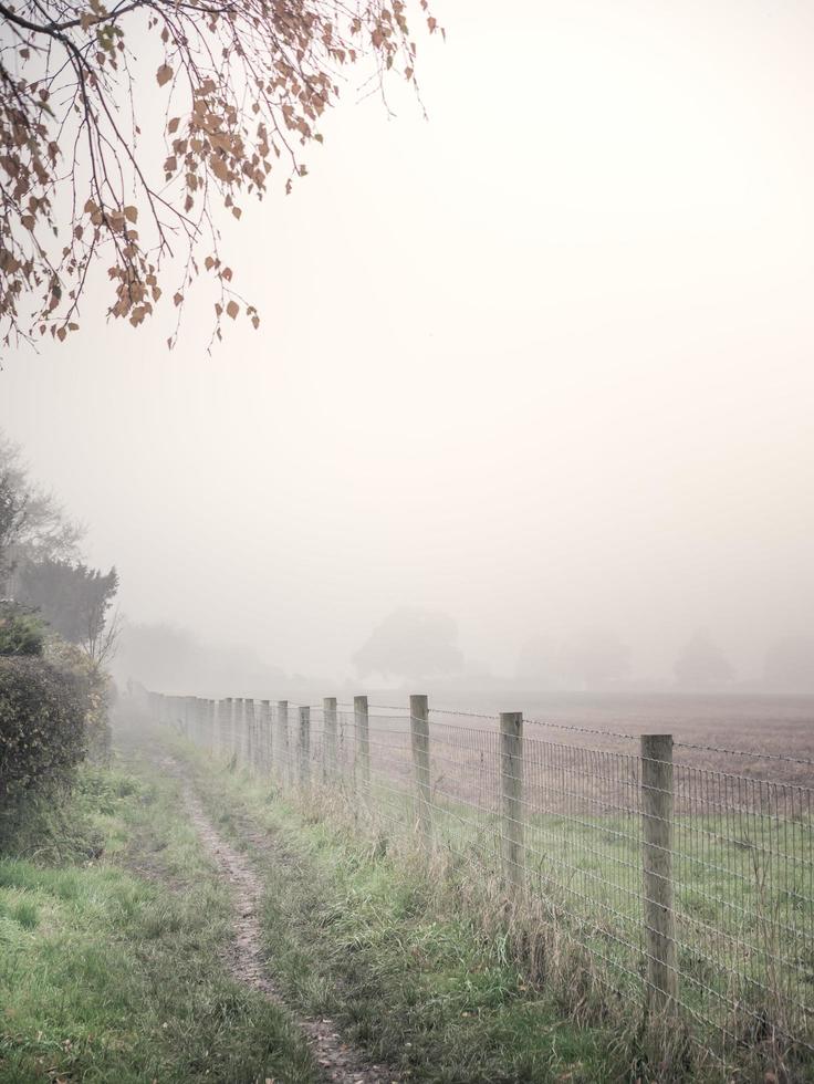 recinto nella nebbia foto