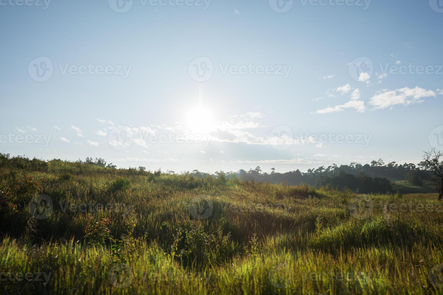 paesaggio al parco nazionale khao yai foto