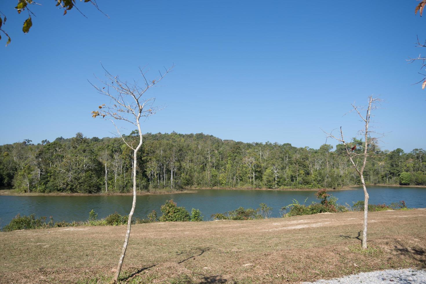 paesaggio al parco nazionale khao yai foto