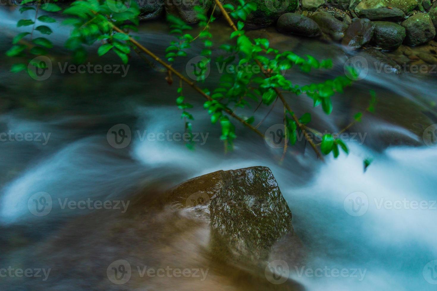 indonesiano paesaggio nel il mattina con un' cascata dentro un' bellissimo tropicale foresta foto