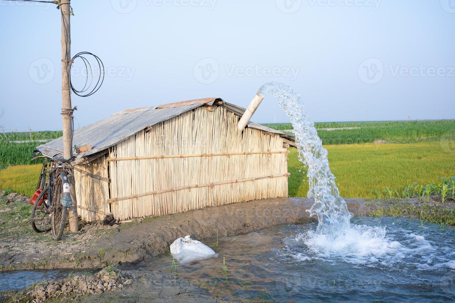 irrigazione di riso i campi utilizzando pompa pozzi con il tecnica di pompaggio acqua a partire dal il terra per flusso in il riso campi. il pompaggio stazione è dove acqua è pompato a partire dal un irrigazione canale. foto