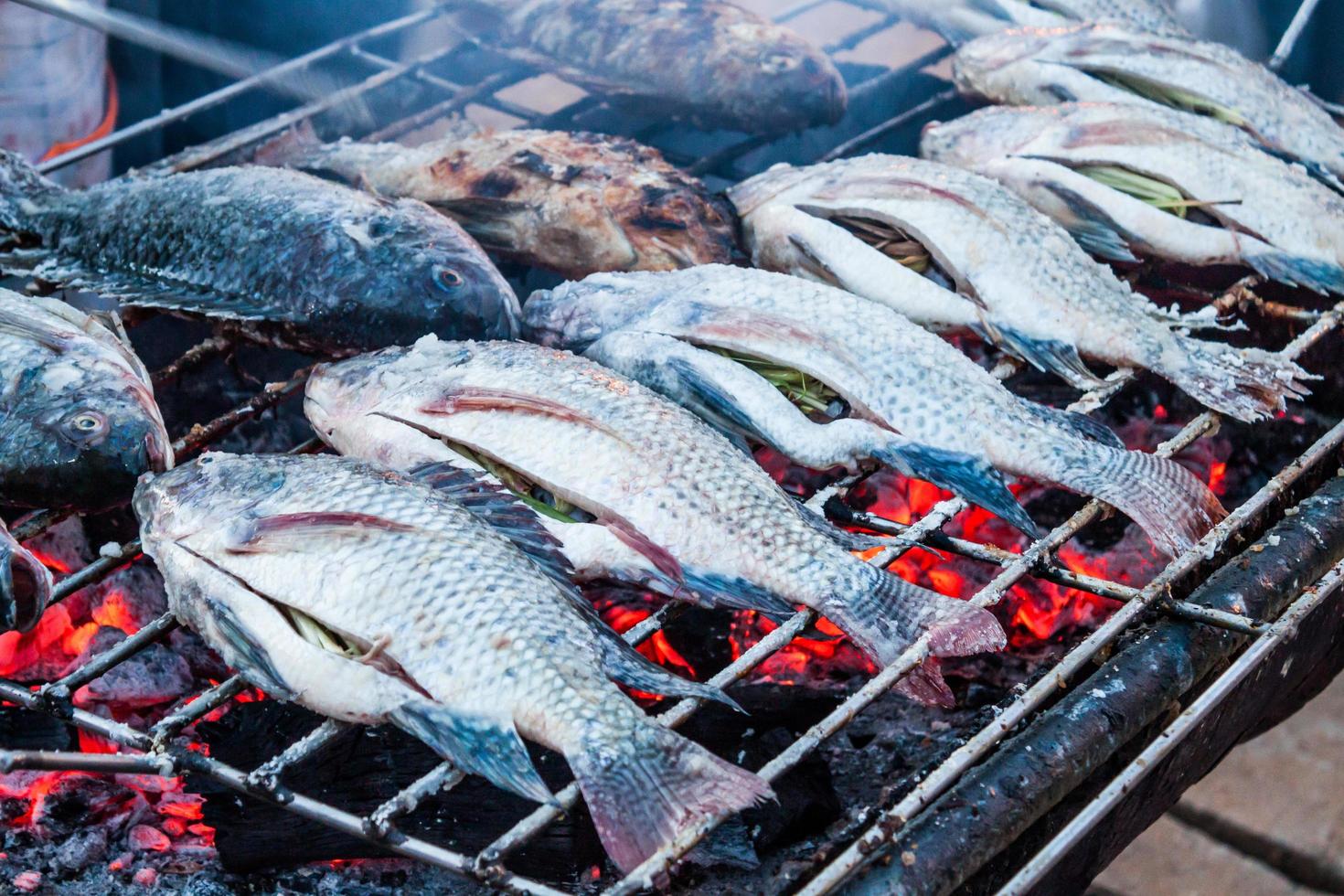 pesce alla griglia foto