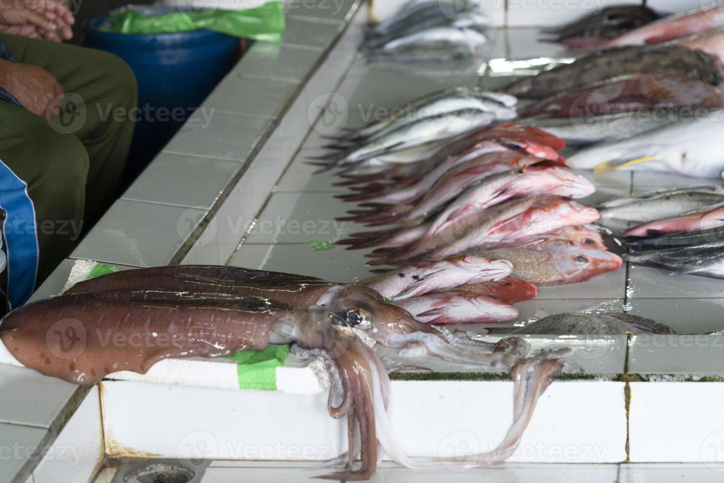 maschio Maldive persone acquisto a pesce mercato foto