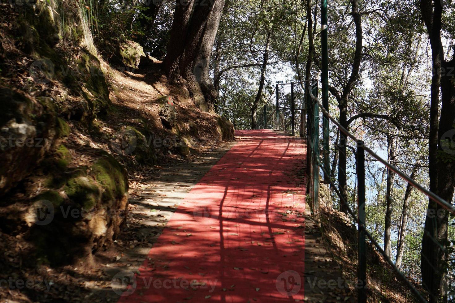 rosso tappeto nel portofino foto