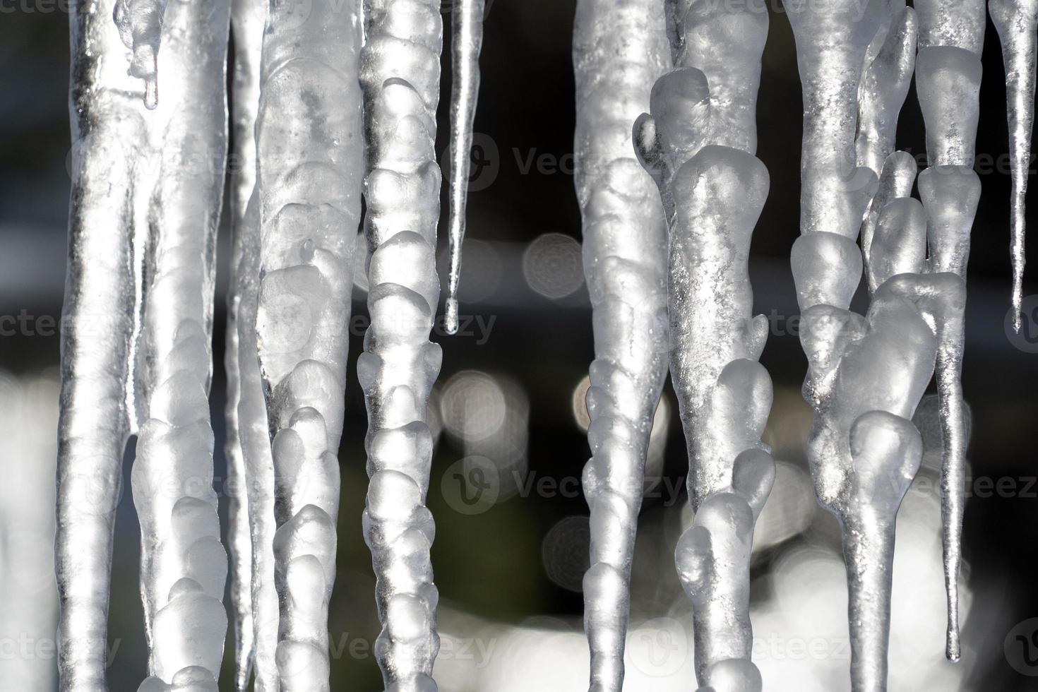 ghiaccioli congelato ghiaccio su albero rami foto