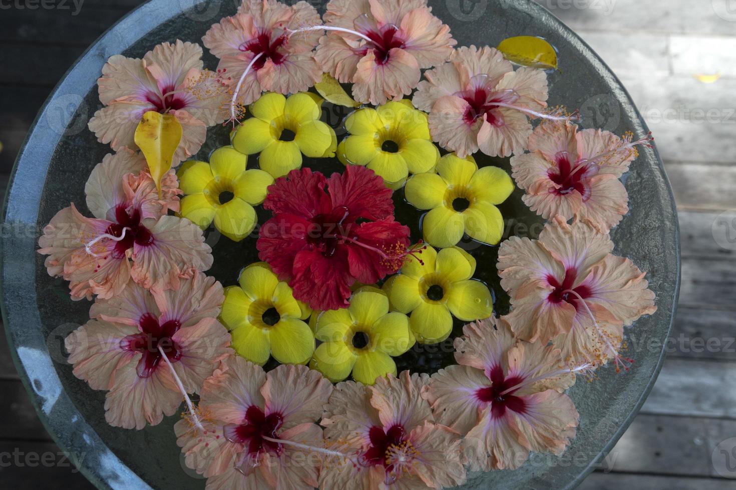 terme fiori nel il acqua foto