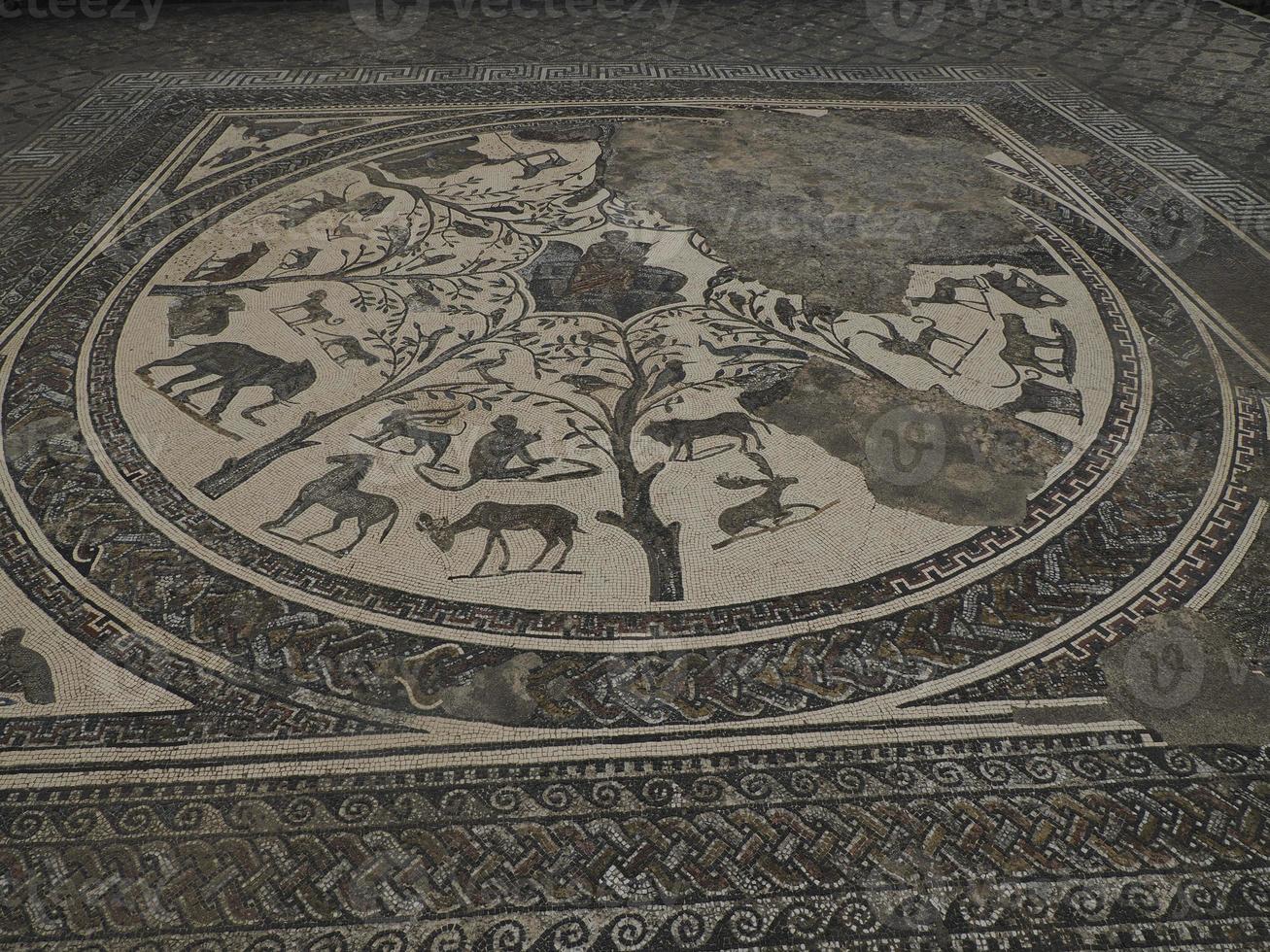 mosaico nel volubilis romano rovine nel Marocco- meglio conservato romano rovine collocato fra il imperiale città di fez e meknes foto