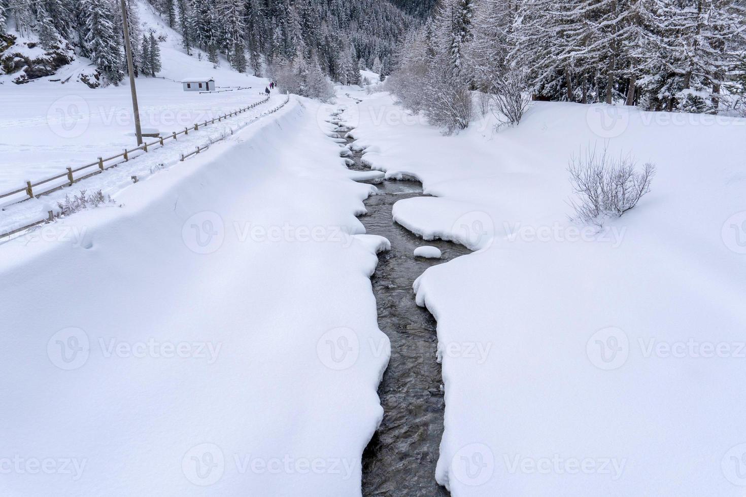 neve escursioni a piedi foresta panorama paesaggio montagne di Santa caterina valfurva italiano Alpi nel inverno foto