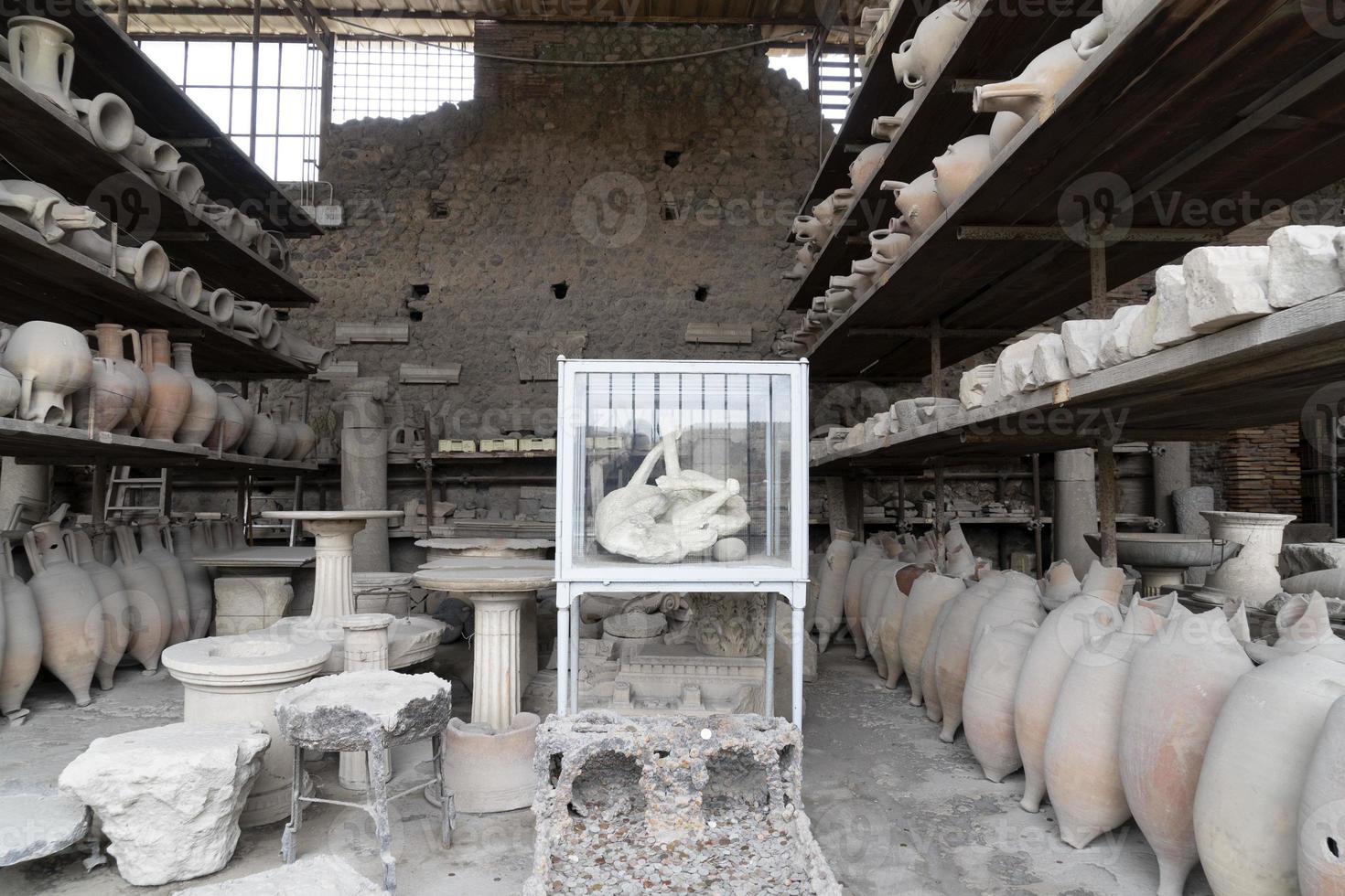 pompei rovine statua sepolto cane cadavere foto