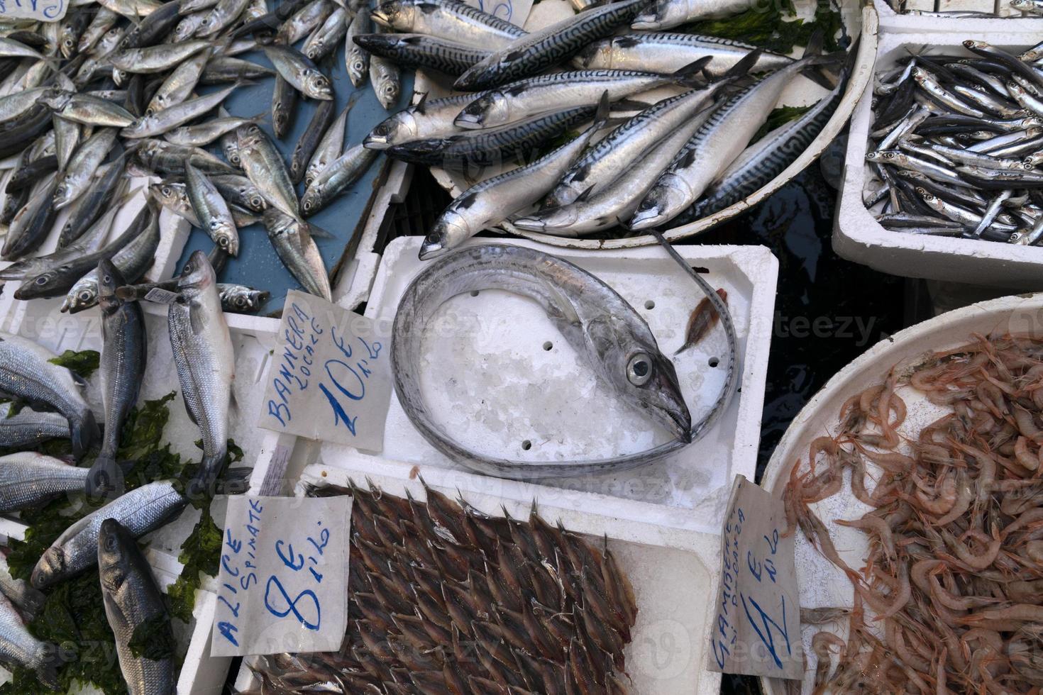 Napoli strada pesce mercato nel spagnolo quartiere foto