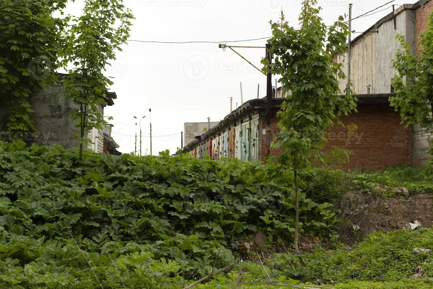 garage nel Russia. mattone garage. coperto di vegetazione burrone su sobborgi di città. foto