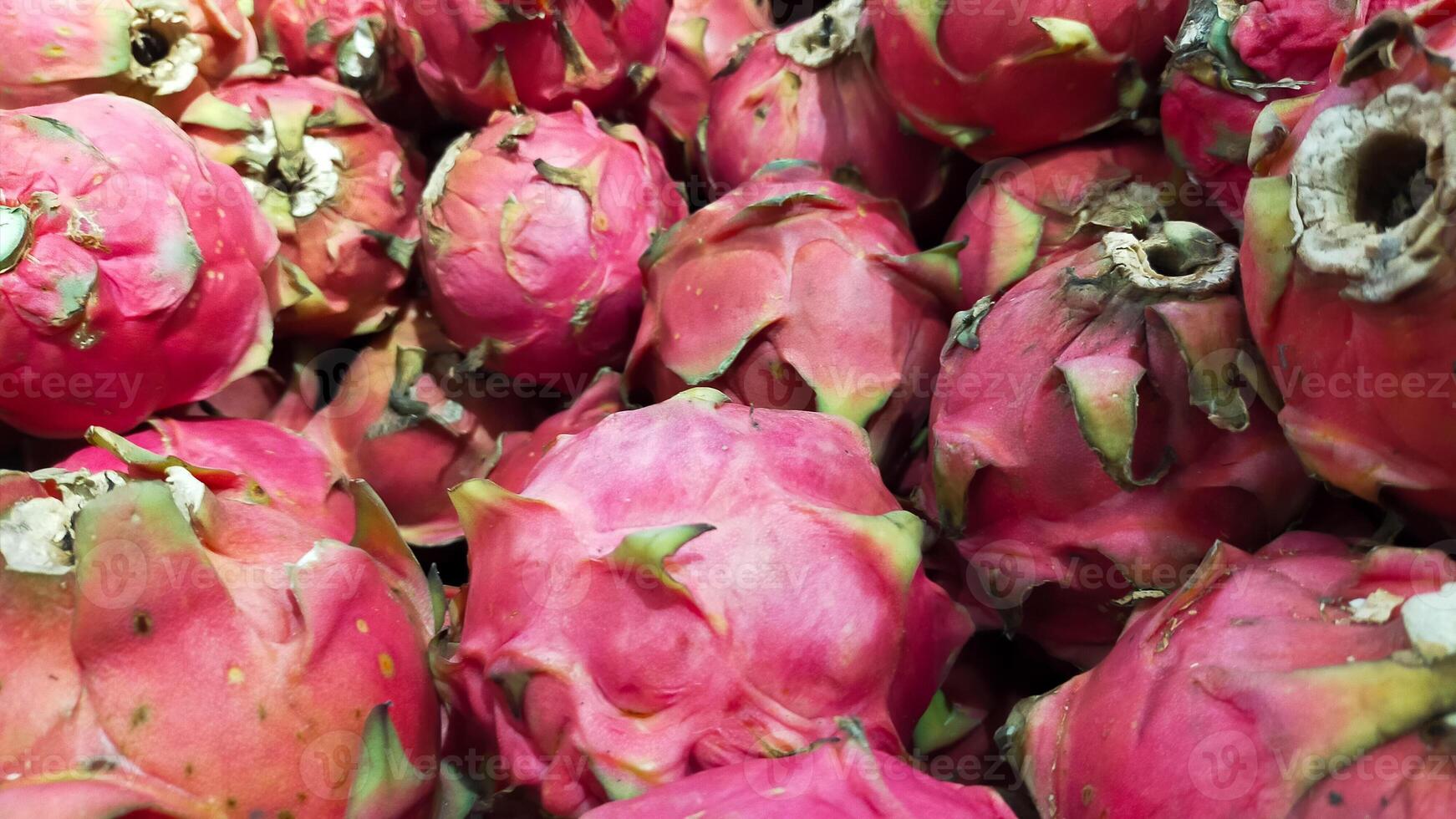 mucchio di Drago frutta per vendita a il mercato. foto