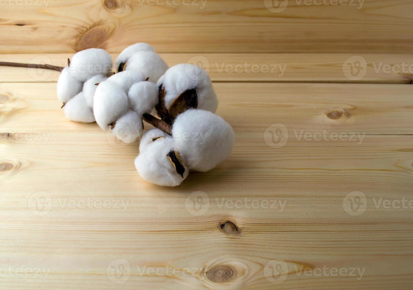 un' ramo di cotone su un' di legno tavolo. foto