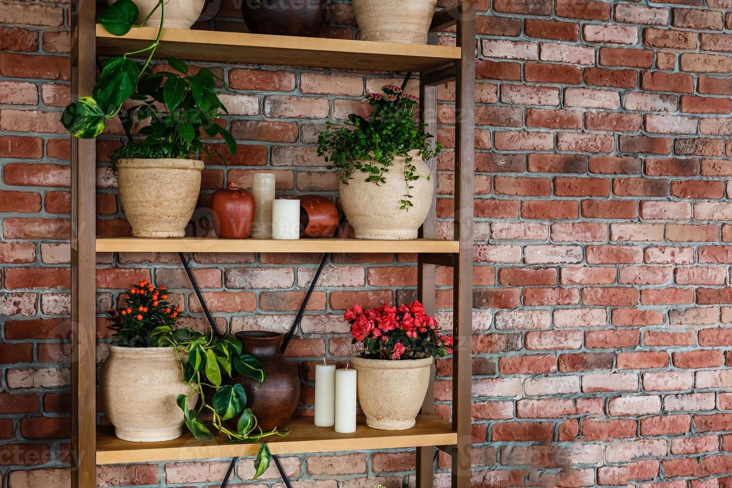 Casa decorazione di libreria con fiore pentole foto